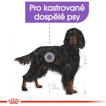 Royal Canin Maxi Adult Sterilised 12 kg