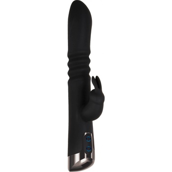 Evolved rapid rabbit black