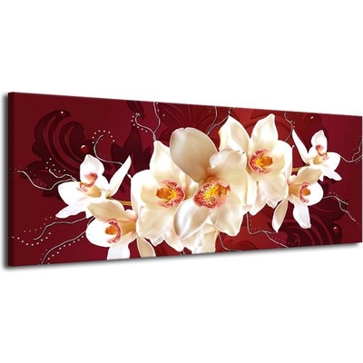 Obraz bílá orchidej plátno 1 100x40