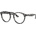 Ray-Ban Larry RX7680V 8117