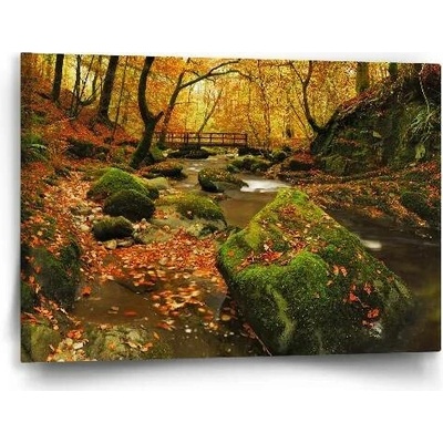 Sablio Obraz Most v lese - 60x40 cm