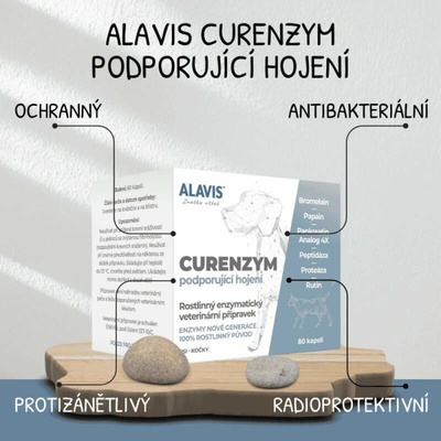 Alavis Curenzym Enzymoterapia 80 tbl