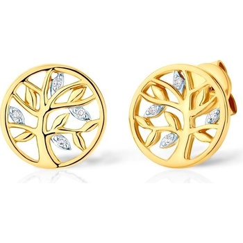 Savicki SAVE82038 Y S