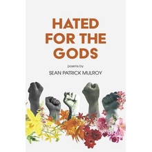 Hated for the Gods Mulroy Sean PatrickPaperback