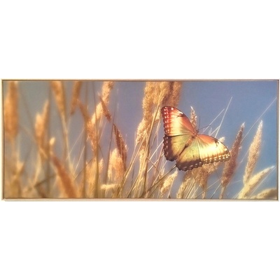 Bondecor Obraz na plátně v rámu "Butterfly gold" 134x59cm