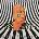 Cage The Elephant - Melophobia (US) (LP) (0888837627719)