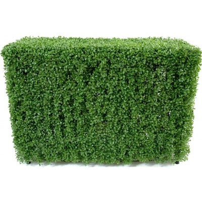 BUXUS PLOT 35x120cm, 90cm