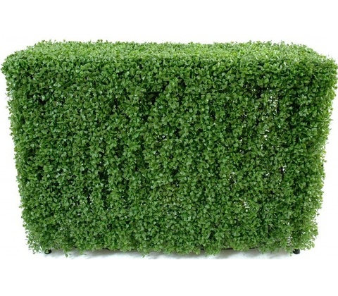BUXUS PLOT 35x120cm, 90cm