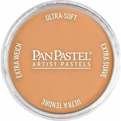 Panpastel 9 ml 930.5 bronze