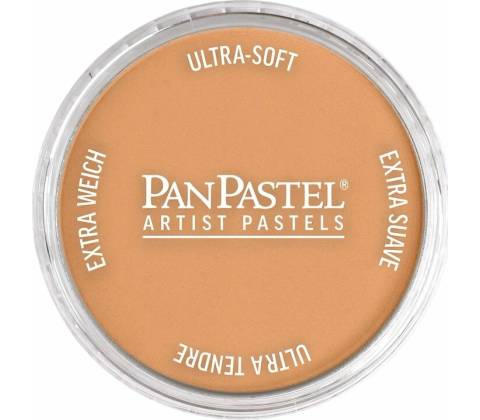 Panpastel 9 ml 930.5 bronze
