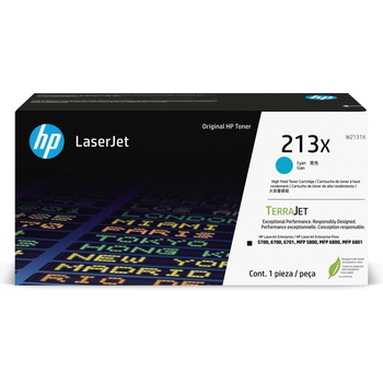 HP W2131X