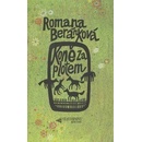 Koně za plotem - Romana Beránková