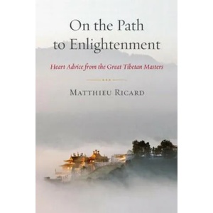 On the Path to Enlightenment | Ricard Matthieu (2013)