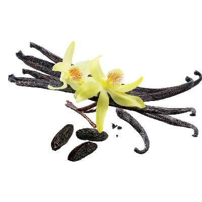MEC3 Ochucovací pasta MEC3, Vanilka a Tonka 200g