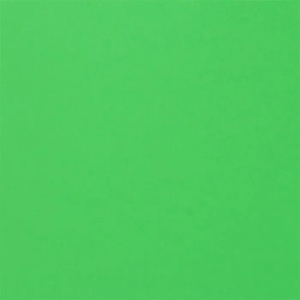 Fabriano Картон Colore, 70 x 100 cm, 200 g/m2, № 230, тревистозелен (42303230/100_VER.PIS)