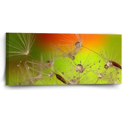 Sablio Obraz Odkvetlé pampelišky - 110x50 cm