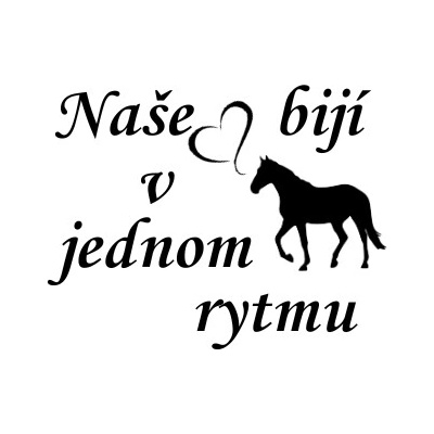 Nažehlovací nápis naše srdce s koněm Vzor: 2, Barva potisku: hnědá