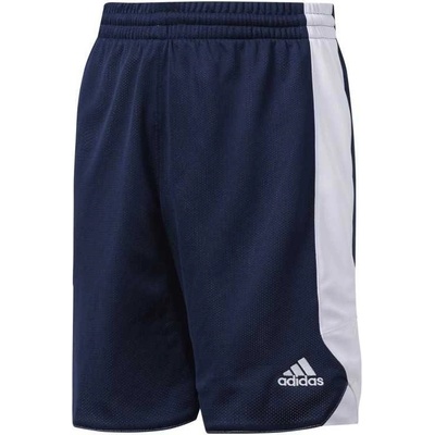 adidas Performance Y Rev Crzy tmavo modrá / biela