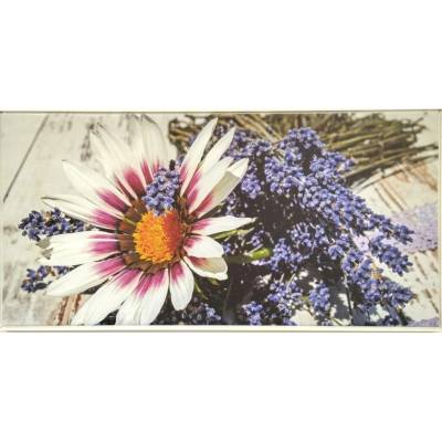 Bondecor Obraz v rámu "Gazánie s levandulí" 102x51cm