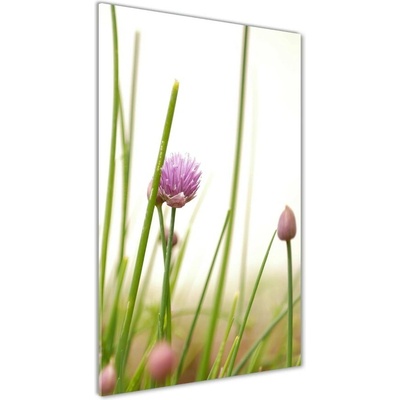 Vertikálny foto obraz sklo tvrdené Kvet pažítky 50x100 cm