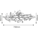 Image 1 of Rábalux Lilian 2839