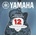 Yamaha AEP12 Струни за акустична китара (AEP12)