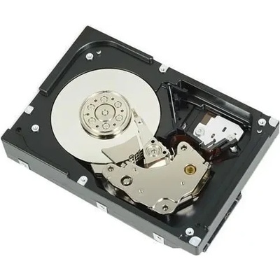 Dell 4TB 529FG