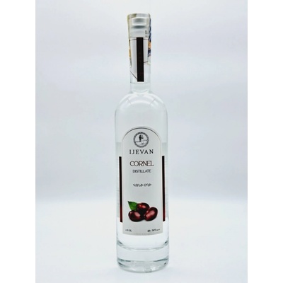 Ijevan Ovocný destilát dřín 50 % 0,5 l (holá láhev)