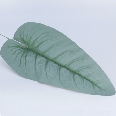 List látkový anthurium omrzlý
