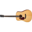Eastman E1D