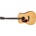 Eastman E1D