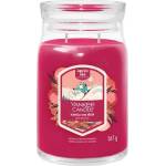 Yankee Candle - Ароматна свещ SANTA ON SKIS голяма 567g 60-90 ч (YC0106)