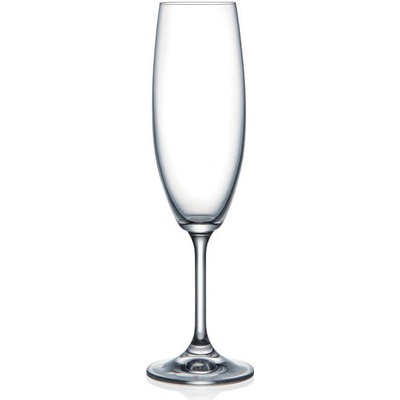 Bohemia Crystal Ppoháre na šampanské Lara 40415 6 x 220 ml