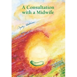 Consultation with a Midwife | Ingeborg Stadelmann (ISBN: 9783943793000)