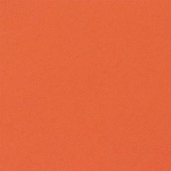 Fabriano Картон Elle Erre, 70 x 100 cm, 220 g/m2, № 126, ора (1535180523)