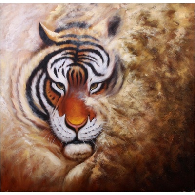 Obraz Dalmart tigr 80x80cm