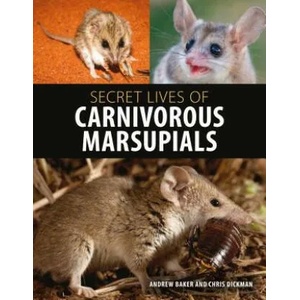 Secret Lives of Carnivorous Marsupials | Andrew Baker, Christopher R. Dickman (ISBN: 9781486305148)
