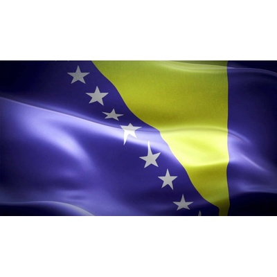 VLAJKA BOSNA A HERCEGOVINA 45 x 30 CM NA TYČKE Z PLASTU