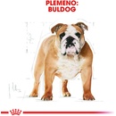 Granule pre psov Royal Canin Bulldog Adult 3 kg