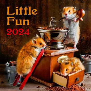 HELMA Nástenný Little Fun 2024