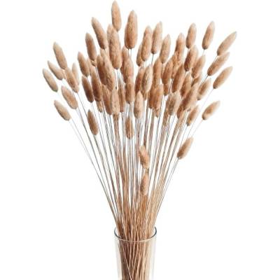Sušený lagurus (králičí ocásek) přírodní 90g-95g