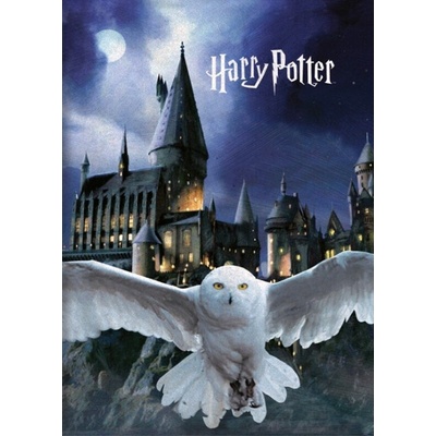 Aymax Detská deka Harry Potter