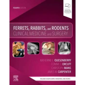 Image 1 of Ferrets, Rabbits, and Rodents | Katherine Quesenberry