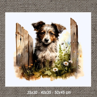 Obraz ZVIERATÁ a 40x35 cm