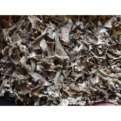 Bylinná lékárna Lišejník islandský Lichen islandicus 500 g