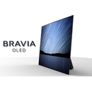 Sony Bravia KD-55A1