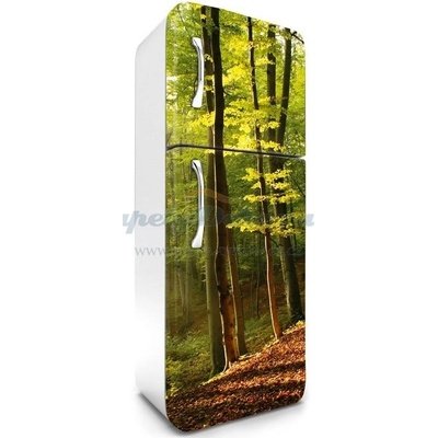 Dimex FR180-028 Samolepící fototapeta na lednice Forest rozměry 65 x 180 cm