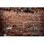 DIMEX ART Флизелинов фототапет полуразрушена тухлена стена 375 x 250 см