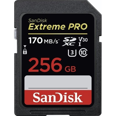 SanDisk SDXC UHS-I U3 256 GB SDSDXXY-256G-GN4IN