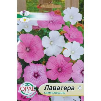 Image 1 of Opal Zi Лаватера